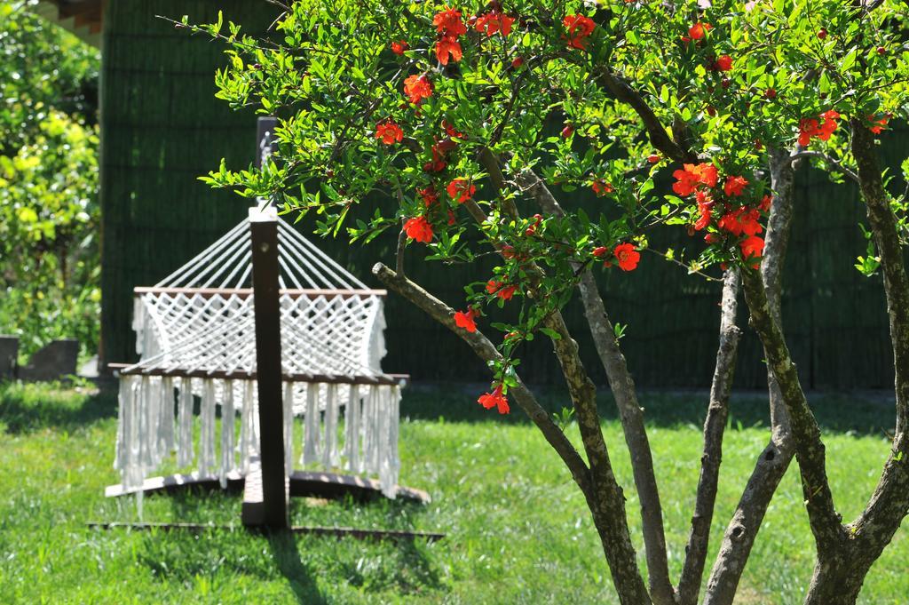 Grenadine Lodge Dalyan Ngoại thất bức ảnh