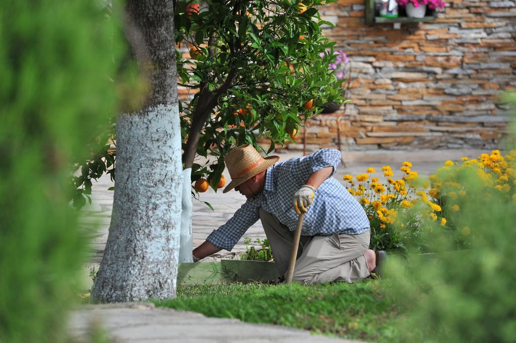 Grenadine Lodge Dalyan Ngoại thất bức ảnh